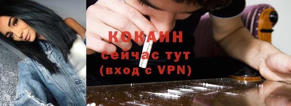 соль ск Абаза