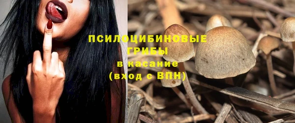 соль ск Абаза