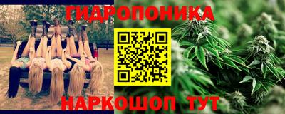 мяу мяу мука Бердск