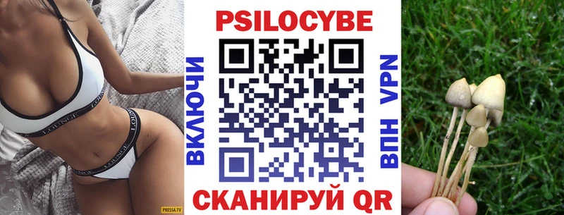 хочу   Дубна  Галлюциногенные грибы GOLDEN TEACHER 