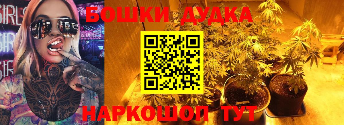 Конопля Amnesia  Бошки Шишки Bruce Banner  Вход с VPN  Дубна 